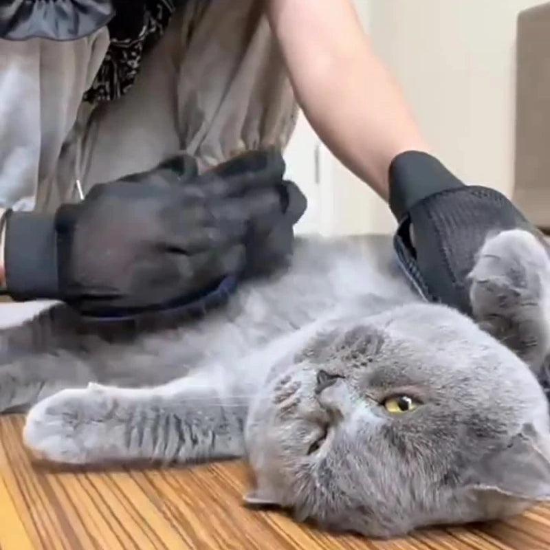 Silicone pet grooming gloves used for bathing dogs and cats, providing a relaxing cleaning experience.
