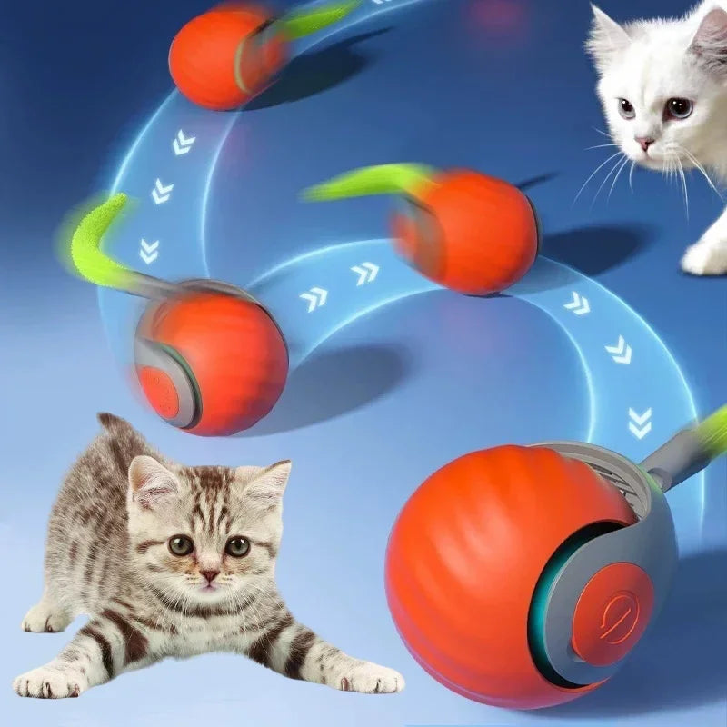 Front view of the smart electric cat toy ball with automatic rolling and feather teaser for indoor cats.