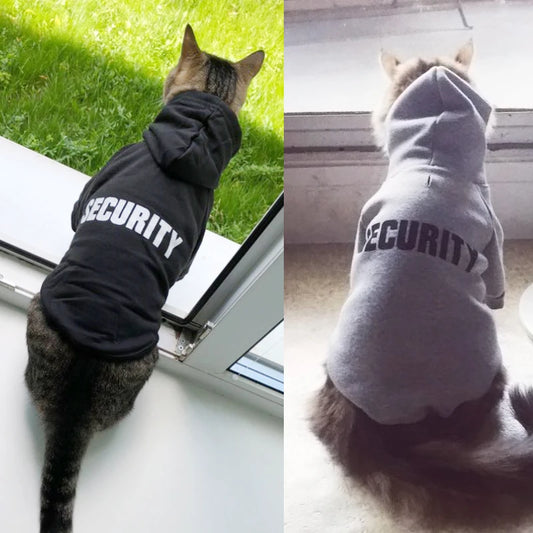 Adorable pet cat wearing a security hoodie jacket, front view showcasing fit and hood detail.
