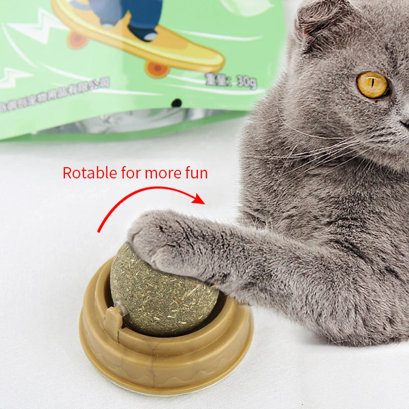 Playful cat licking a wall-mounted catnip ball for digestion and stress relief.