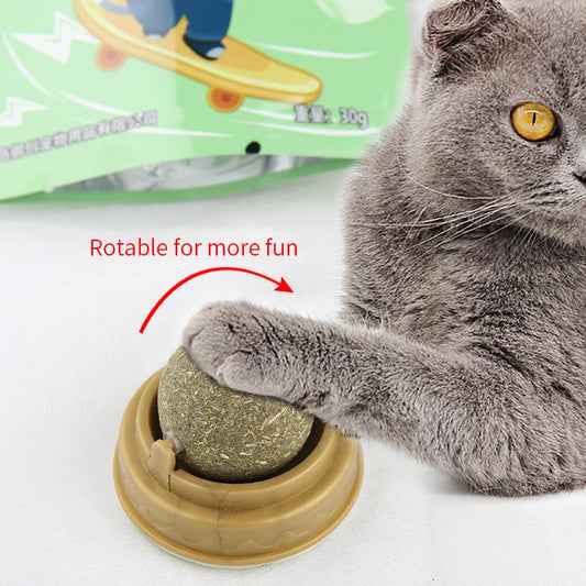 Playful cat licking a wall-mounted catnip ball for digestion and stress relief.