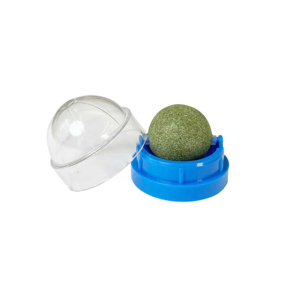 Backside adhesive of the catnip ball toy shown for easy wall or furniture application.