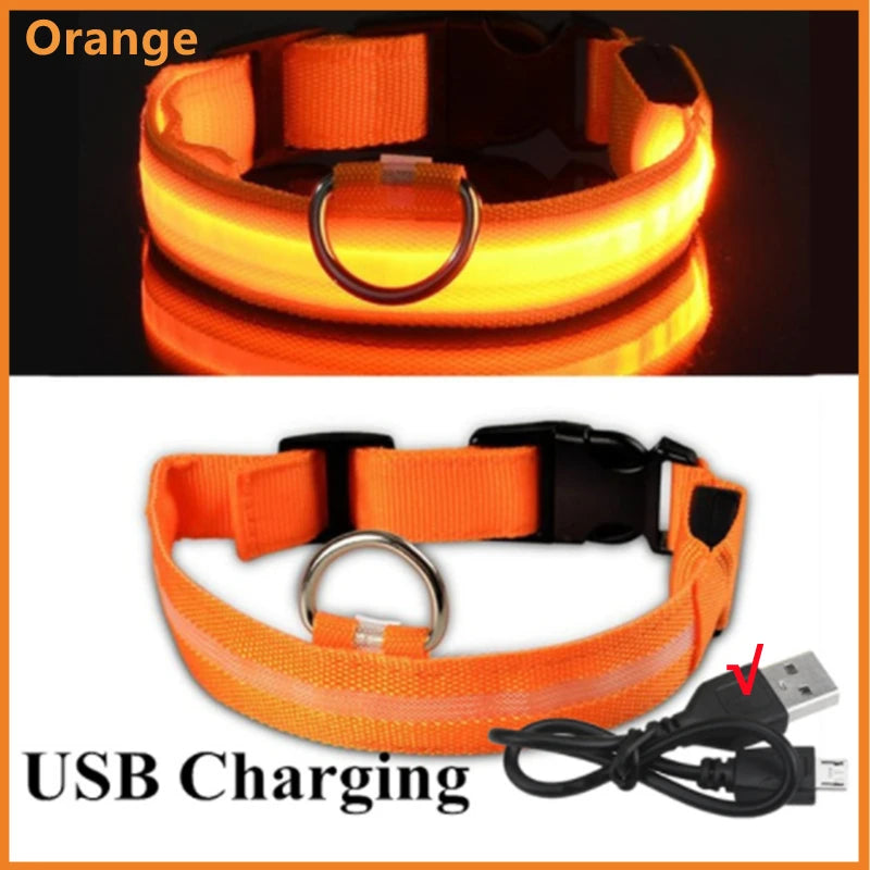 LED pet collar glowing during evening walks, keeping pets safe and easily seen by owners and motorists.