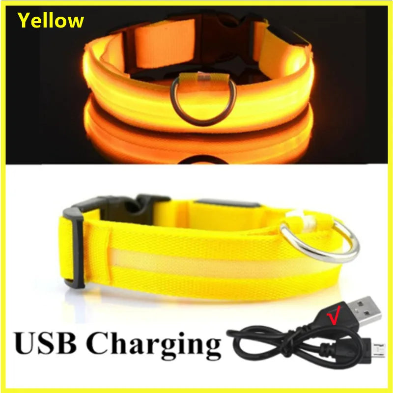 Glowing LED collar for pets, ideal for evening walks, camping, or outdoor adventures.