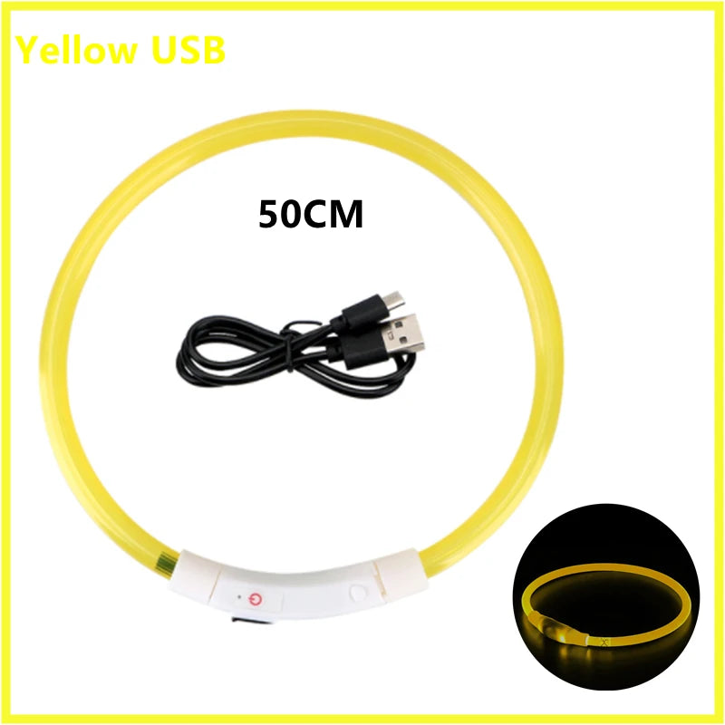 Glowing pet collar featuring USB charging, adjustable size, and durable material for long-lasting night safety.