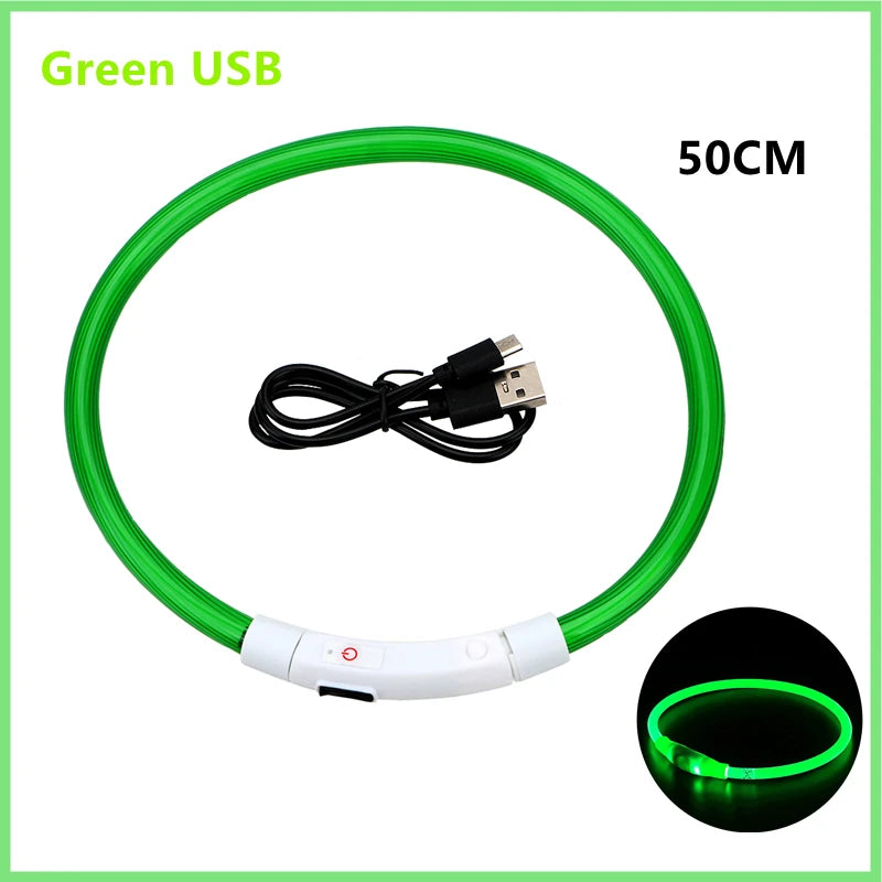 LED collar designed for outdoor night walks, improving pet visibility and safety in low-light conditions.