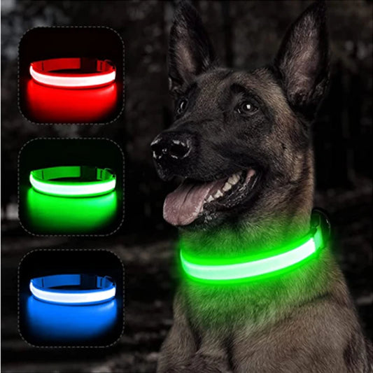 Front view of USB rechargeable LED glowing pet collar, adjustable for dogs and cats, ensuring safety during night walks.