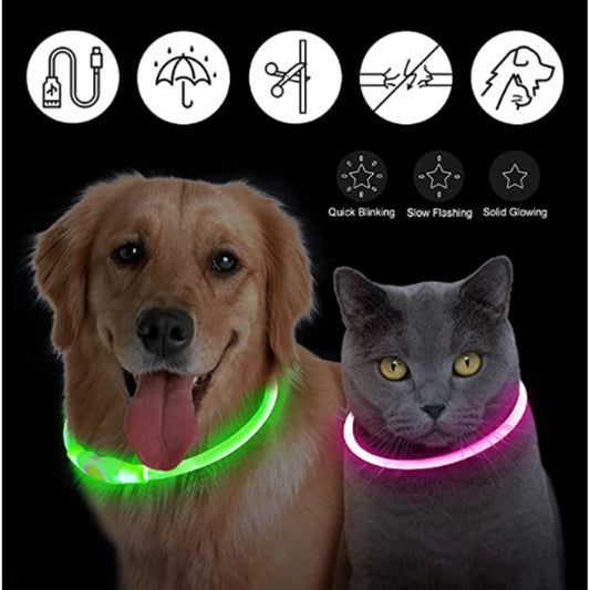 Adjustable LED luminous pet collar suitable for small and large dogs and cats, providing high visibility at night.
