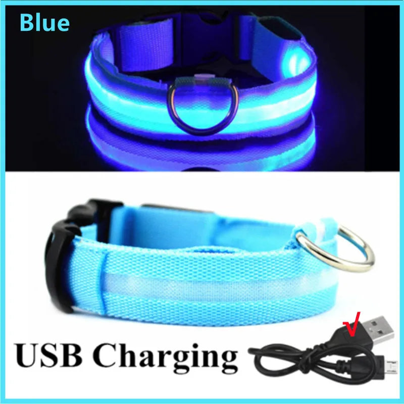 Night light pet collar for large dogs, USB rechargeable and adjustable, perfect for visibility during nighttime walks.