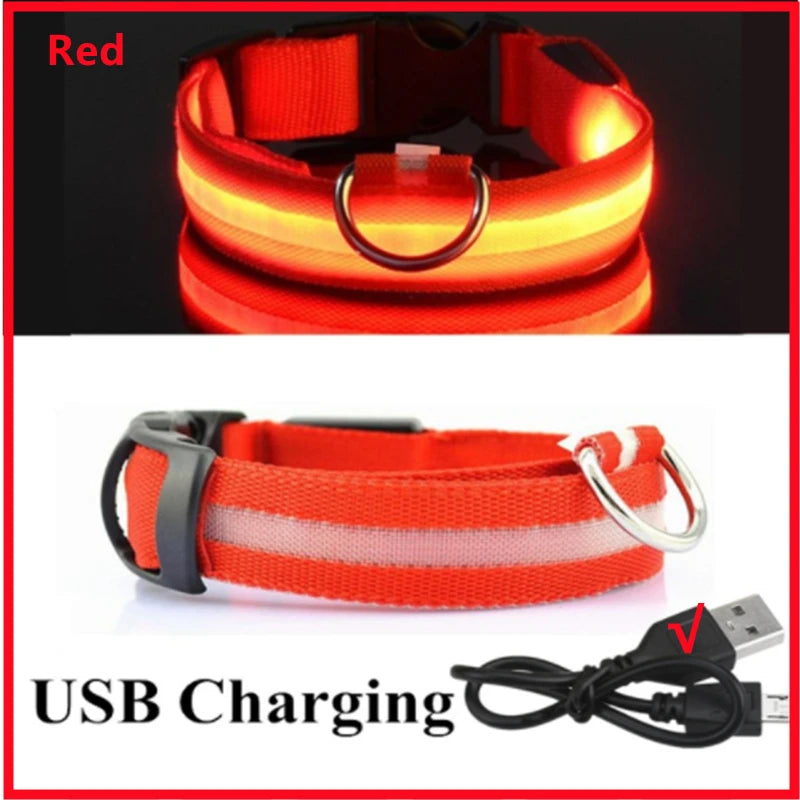 LED pet collar glowing in low-light conditions, keeping pets visible and safe during night-time outdoor activities