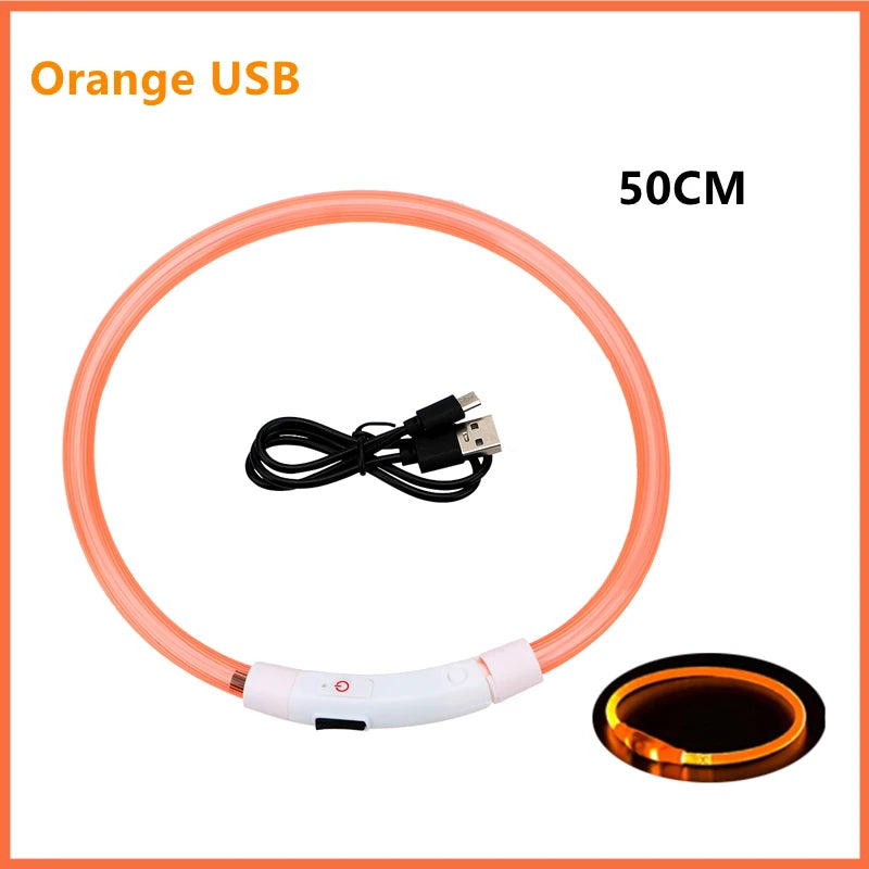 USB rechargeable luminous dog collar designed to improve pet visibility during nighttime outdoor adventures.







