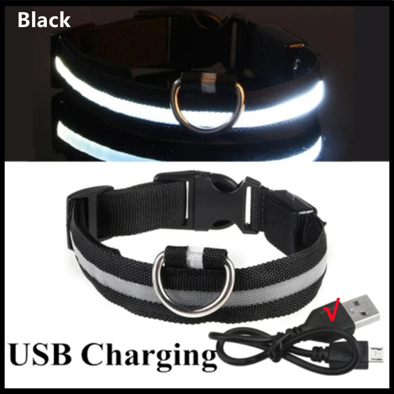 Safety LED collar for cats and dogs, providing a stylish and visible accessory for night walks.