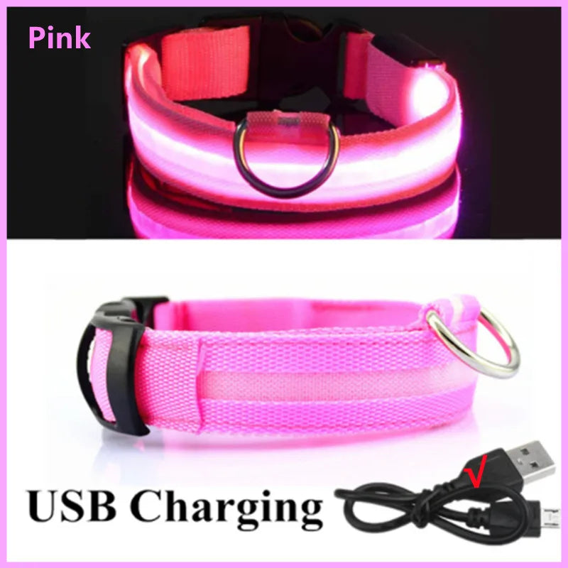 Stylish luminous pet collar with bright LED lights, keeping dogs and cats safe while adding a fashionable touch