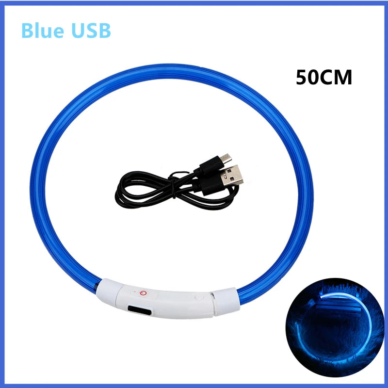 USB rechargeable luminous pet collar for safe walking and playtime during night or early morning.