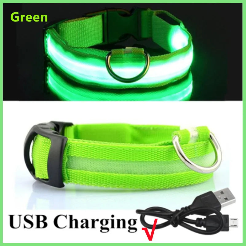 USB rechargeable glowing dog collar designed for safety during evening and nighttime walks.